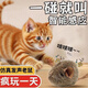 辛叢貓咪玩具叫叫鼠電動(dòng)發(fā)聲仿真小老鼠鳥(niǎo)鳴毛絨貓咪自嗨解悶磨牙玩具 感應發(fā)聲【1個(gè)裝】逗貓神器