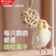 蘭憐鳥(niǎo)玩具鸚鵡藤球智商訓練啃咬開(kāi)智玄風(fēng)虎皮牡丹磨牙道具解悶防抑郁 原色藤球3cm【10個(gè)裝】