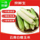 京鮮生 云南白糯玉米 5斤 新鮮甜棒子苞米粗糧苞米帶皮 源頭直發(fā)