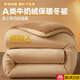 南極人（Nanjiren）a類(lèi)牛奶絨被子冬天冬被1.5米x2米宿舍單人秋被褥加厚保暖春秋被芯 雙面牛奶絨-淺咖【加厚保暖】 150x200cm約4斤【單人春秋被】
