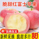 飄香果度【25年新果】山西紅富士蘋(píng)果水果脆甜多汁新鮮水果蘋(píng)果 凈重4.5斤中果【單果70-80mm】