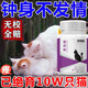 貓咪發(fā)情抑制情緒舒緩藥公母貓通用禁情抑情片粉寵物鎮靜劑防亂叫 1盒貓舒靜 【快速見(jiàn)效】無(wú)傷害