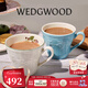 WEDGWOOD[七夕禮物]歡愉假日馬克杯情侶對杯杯子水杯咖啡杯高顏值 歡愉藍色+樹(shù)莓馬克杯 2個(gè) 350ml