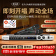 麥樂(lè )迪DSP6500 PLUS專(zhuān)業(yè)音響效果器前級專(zhuān)業(yè)k歌防嘯叫抑制帶雙無(wú)線(xiàn)話(huà)筒一體機家用K歌數字音頻KTV混響器 DSP6500 PLUS一體機旗艦升級版  含線(xiàn)