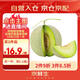 京鮮生 網(wǎng)紋蜜瓜 1粒裝 單果2斤起 生鮮水果 