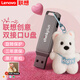 聯(lián)想（lenovo）創(chuàng  )意掛件U盤(pán) 手機電腦兩用 高速雙接口Type-c閃存盤(pán) 學(xué)生作業(yè)商務(wù)筆記本電腦大容量?jì)?yōu)盤(pán) 錆色雙接口U盤(pán)【贈毛茸小狗掛鏈】 64GB