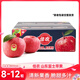 佳農煙臺紅富士 8-12粒裝 單果200g+ 生鮮水果 源頭直發(fā)包郵