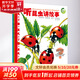 動(dòng)物王國(guó)大探秘全4冊(cè) 6-12歲中小學(xué)生一二三四年級(jí)趣味兒童科普 暑期寒假課外閱讀推薦 學(xué)科啟蒙寫作素材