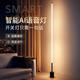 姿燈（ZIDENG）落地燈氛圍燈極簡(jiǎn)客廳臥室床頭立式臺燈ins風(fēng)智能語(yǔ)音聲控小夜燈