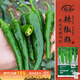 壽禾 辣椒種子苗樟樹(shù)港香辣盆栽菜種籽 濰育壽禾樟樹(shù)港辣椒種子130粒