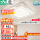 雷士（NVC）LED吸頂燈客廳燈滿(mǎn)天星氛圍奶油風(fēng)燈具全屋套餐燈臥室燈星光團購 54W 15㎡內適用 3520lm 智控方燈