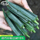 壽禾秋葵種子水果家庭秋冬季四季種菜壽光蔬菜菜種籽菜籽 卡里巴黃秋葵種子10g