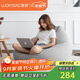 LUCKYSAC懶人沙發(fā)豆袋EPP小戶型陽臺臥室客廳單人小沙發(fā)椅子 標準款紳士灰