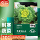 壽禾 黃心菜油菜種子玫瑰烏塌菜白菜菜籽菜子蔬菜秋冬黑菜種籽 口感好 冬星黃心烏種子10g