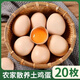 螢舞 土雞蛋農家鮮雞蛋笨雞蛋原生態(tài)山林草雞蛋谷物喂養柴雞蛋 20枚-土雞蛋