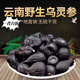 胖東來(lái)烏靈參野生云南干貨材正宗烏苓參切片新鮮雷震子雞樅蛋吊金 500·克 烏靈參片（鮮品加工曬干】