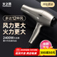 火之鳳吹風(fēng)機6600X 發(fā)廊專(zhuān)用大功率2400W大風(fēng)力低噪音家用恒溫護發(fā)不傷發(fā) 理發(fā)店專(zhuān)業(yè)電吹風(fēng)筒 6600H+鈦金灰 （四檔風(fēng)）