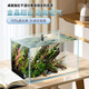 呆寵兒超白裸缸烏龜缸裸缸款水草缸金魚(yú)缸小型水族箱高清透亮魚(yú)缸生態(tài)缸 40*35*30加厚6mm 中型 金晶超白玻璃