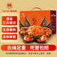 【活蟹】宿有千香霸王蟹精品鮮活大閘蟹洪澤湖螃蟹生鮮水產(chǎn)禮盒裝 公4兩母3兩 2對4只裝