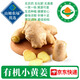 【有機】云南小黃姜 新鮮現挖生姜沙地黃姜月子姜 調味品蔬菜食材 【有機小黃姜】1000g