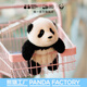 熊貓工廠(chǎng)新品大頭系列仿真福寶熊貓玩偶公仔毛絨玩具節日生日禮物送禮 大頭系列-福寶 骨架款