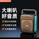 山水（SANSUI）音響2025新款無線藍(lán)牙收款音箱小型戶外手提便攜式迷你功放一體機收音機播放器喇叭禮物 旗艦配置【小身材大音量】