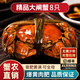 【活蟹】【精品大閘蟹】泰州興化特大螃蟹節日送禮禮品盒鮮活現貨 全母蟹丨4.3-4.0兩丨8只