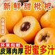 正宗云南蒙自枇杷5斤純甜新鮮水果當季現摘止咳大五星長(cháng)虹琵琶y 1斤中果【現摘現發(fā)】