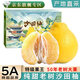 松筱廣東梅州沙田柚子白肉蜜柚正宗梅縣老樹(shù)冰糖金碌柚新鮮時(shí)令水果 50年老樹(shù)果王禮盒裝 甄選特大果帶箱10斤
