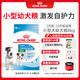 皇家狗糧幼犬狗糧幼犬奶糕寵物小型犬MIJ31全價(jià)犬糧2-10月8KG