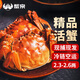 【活蟹】蟹宗大閘蟹鮮活螃蟹河蟹六月黃2.3-2.6兩10只水產(chǎn)生鮮中秋節(jié)禮品禮盒源頭直發(fā)