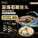 豬探長福州正宗石斑魚丸250g 手工包心丸子 火鍋丸料關東煮麻辣燙食材