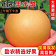 冰糖豐水梨當季梨子新鮮水果整箱現摘應季山東產(chǎn)地直發(fā)脆梨子薄皮 豐水梨3斤大果(3-4個(gè))