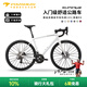 PARDUS瑞豹SUPER AL公路車銀白色-藍圖R9油壓碟剎 M碼