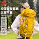 艾王新款專(zhuān)業(yè)戶(hù)外登山雙肩背包40升大容量男女輕便量化徒步旅行防潑水 黃色 (第二代8109B) 35+5L（背負系統+送防雨罩）