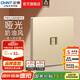 正泰（CHNT）開(kāi)關(guān)插座6C 家用86型暗裝斜五孔插座帶USB插座面板無(wú)框大板香檳金 電腦（六類）