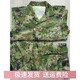 新式正版原廠迷彩服防刮耐磨訓(xùn)練服夏季戶外防刮耐磨訓(xùn)練服套裝 星綠色夏【衣+褲】 2XL 175/92-96