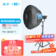 南光（NANLITE）FS-300C全彩大功率補光燈 視頻直播拍攝燈 RGB專(zhuān)業(yè)影棚大場(chǎng)景攝影燈 氛圍人像拍照燈 FS-300C+新款90快裝柔光箱（蛋格）+燈架
