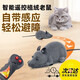 貓玩具遙控老鼠電動(dòng)逗貓仿真假老鼠逗貓神器貓抓老鼠玩具益智玩具 無(wú)線(xiàn)遙控逗貓老鼠