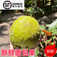 【順豐】面包果網(wǎng)紅面包果熱帶水果季節1-2斤新鮮現摘應季美味 單果1-1.4斤【軟糯冰淇淋口感】