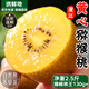 京地達(dá)蒲江黃心獼猴桃 2.5斤臻稀特大果單果130g+現(xiàn)摘新鮮水果源頭包郵