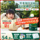 英氏（Engnice）嬰幼兒米粉鱈魚胡蘿卜加鋅258g營養(yǎng)寶寶輔食加鐵米糊3階10月+