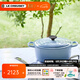 酷彩（Le Creuset）進(jìn)口琺瑯鍋鑄鐵22/24/26cm圓形鍋湯鍋燜蒸燉煮鍋燉鍋煲湯微壓鍋 【3-5口之家】水晶藍 24cm