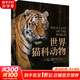 【正版包郵】世界貓科動物 科學(xué)出版社 科學(xué)科普類書籍 生物科學(xué)讀物讀本書籍 圖書