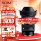 適馬（SIGMA）17-40mm F1.8 DC DN Art 恒定大光圈變焦鏡頭APS-C畫(huà)幅無(wú)反相機 【官方標配】主圖配件+多重好禮 索尼E口