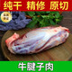 順豐】牛腱子新鮮現殺黃牛肉原切大塊鮮牛肉腱子弧帶筋帶膜速凍 原切腱子肉 精選牛腱子肉5斤