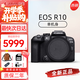 佳能（Canon）佳能R10/R7 微單相機高速連拍家庭拍攝視頻4K Vlog小型便攜照相機 EOS R10 單機身【高速連拍】 官方標配（機身+電池+肩帶）