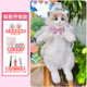 仿真布偶貓背包小貓咪包玩偶毛絨娃娃公仔玩具送朋友女孩兒童禮物 布偶貓背包【JK粉圍脖】