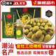 青櫻紅荔 正宗潮汕三捻橄欖【順豐送貨上門(mén)】金玉三棱橄欖 金灶新鮮黃橄欖 老樹(shù)三捻橄欖丨500g【實(shí)惠裝】 【禮盒包裝丨精選品質(zhì)】