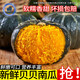 京榴香國產(chǎn)貝貝南瓜 新鮮蔬菜生鮮 整箱約5.5-4.7斤凈含量 2000g